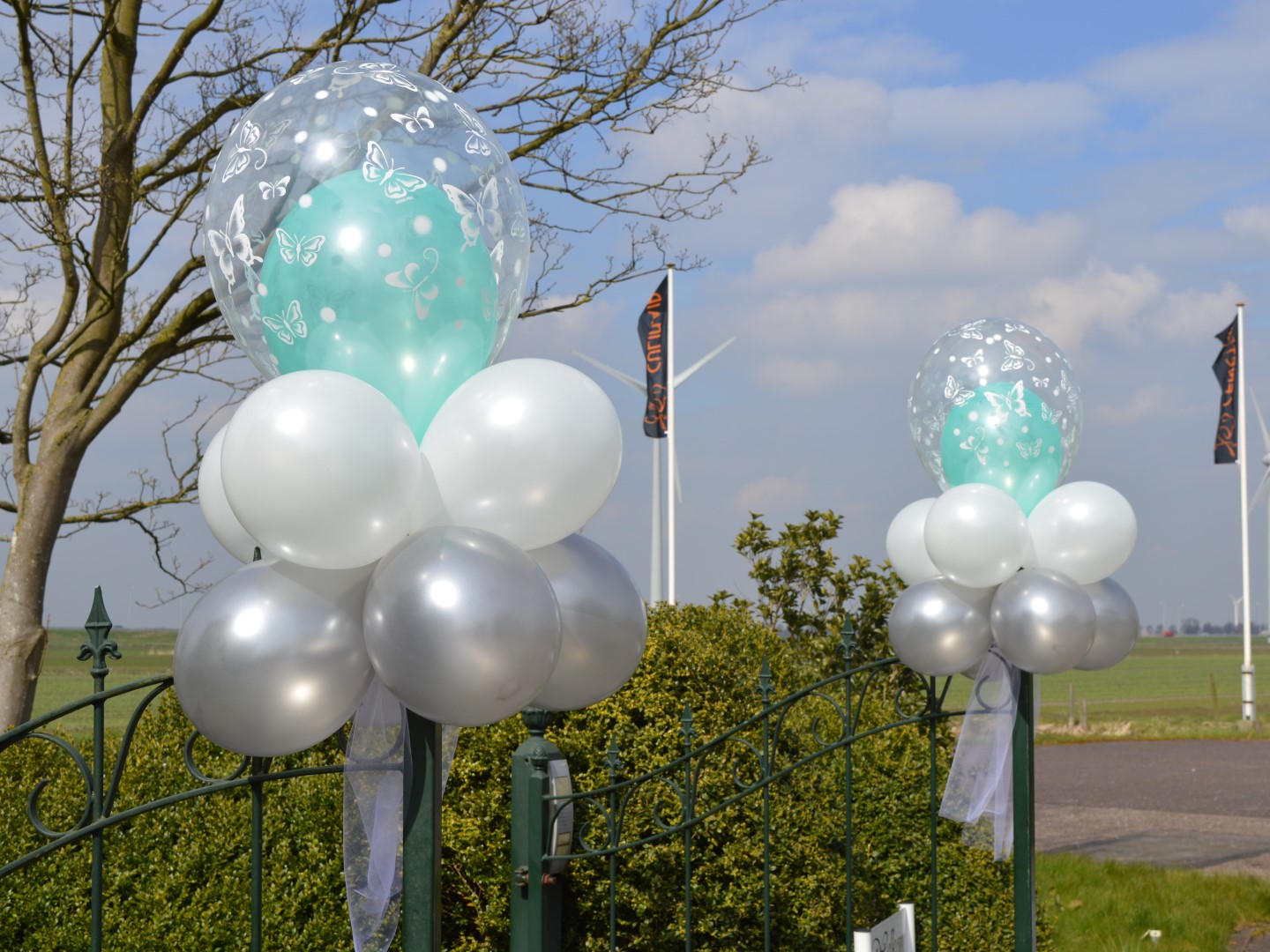 Dubbel Bubbel Topiary. Ballonwolk voorzien van een dubbel bubbel ballon om op een decoratieve plaats te monteren.