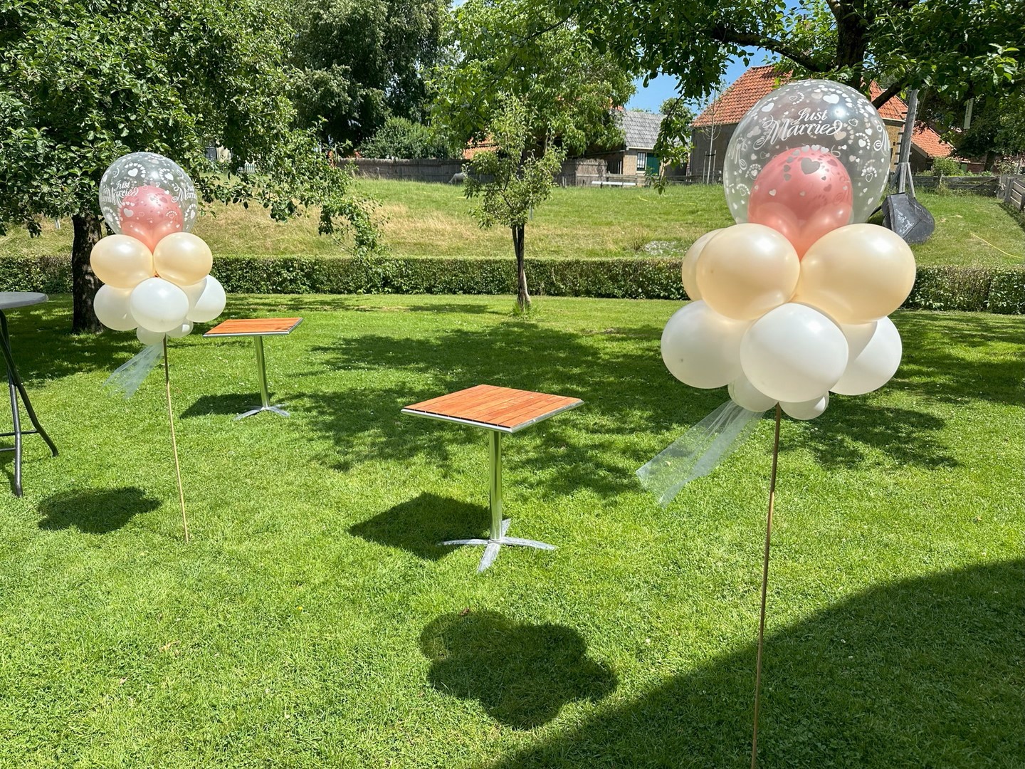 Dubbel bubbel topiary op bamboestok. Ballonwolk voorzien van een dubbel bubbel ballon op een bamboestok gemonteerd om in de grond te prikken. Eventueel ook op een standaard leverbaar.